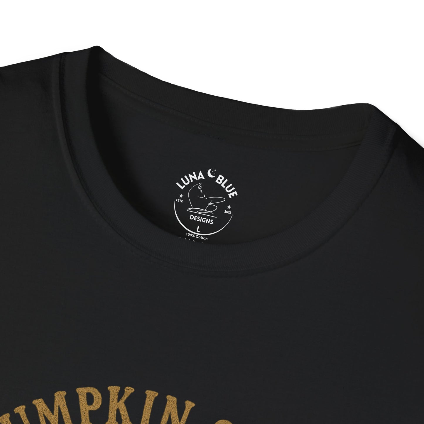 Pumpkin Spice University T-Shirt, Fall Apparel, Unisex Graphic Tee, Cute Thanksgiving Shirt, Cozy Autumn Outfit, Gift for Pumpkin Lovers