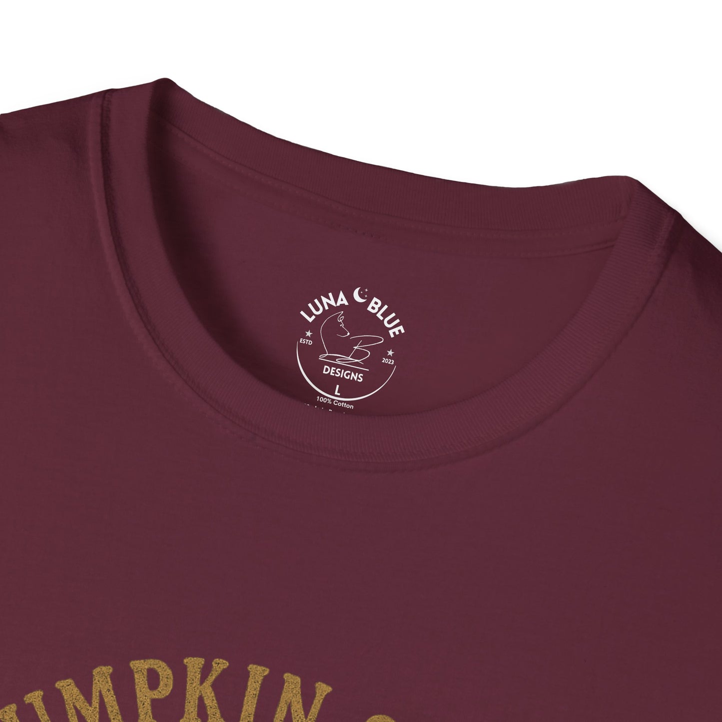Pumpkin Spice University T-Shirt, Fall Apparel, Unisex Graphic Tee, Cute Thanksgiving Shirt, Cozy Autumn Outfit, Gift for Pumpkin Lovers