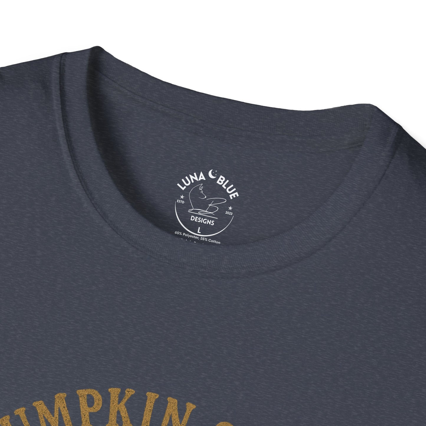 Pumpkin Spice University T-Shirt, Fall Apparel, Unisex Graphic Tee, Cute Thanksgiving Shirt, Cozy Autumn Outfit, Gift for Pumpkin Lovers