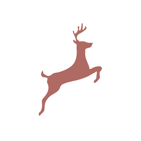 Holiday Vibes